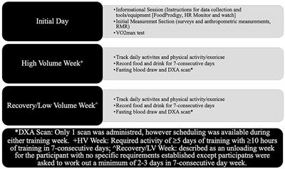 Examination of Athlete Triad Symptoms Among Endurance-Trained Male Athletes: A Field Study